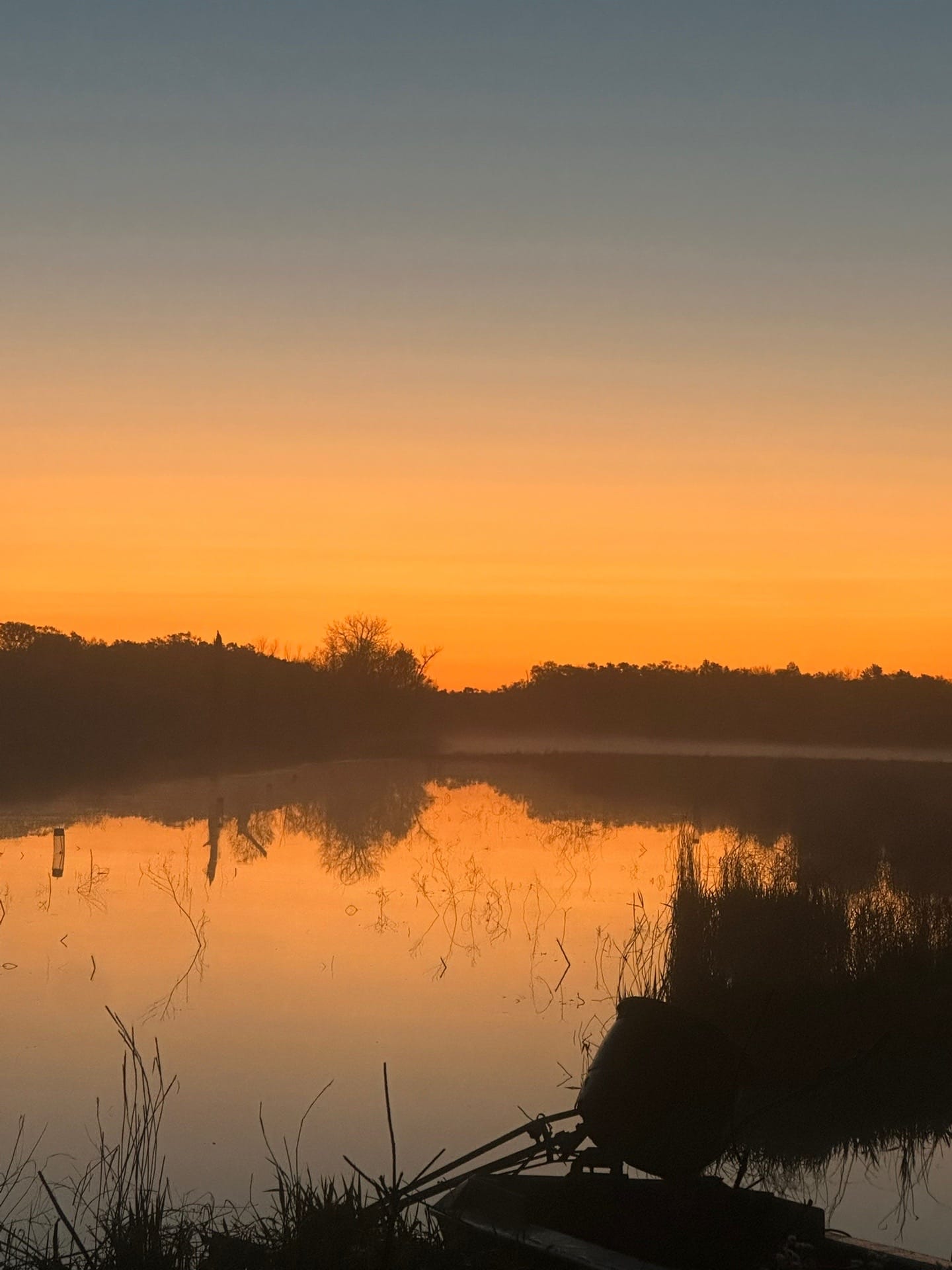 Post 5 by Brook on TikTok (video)