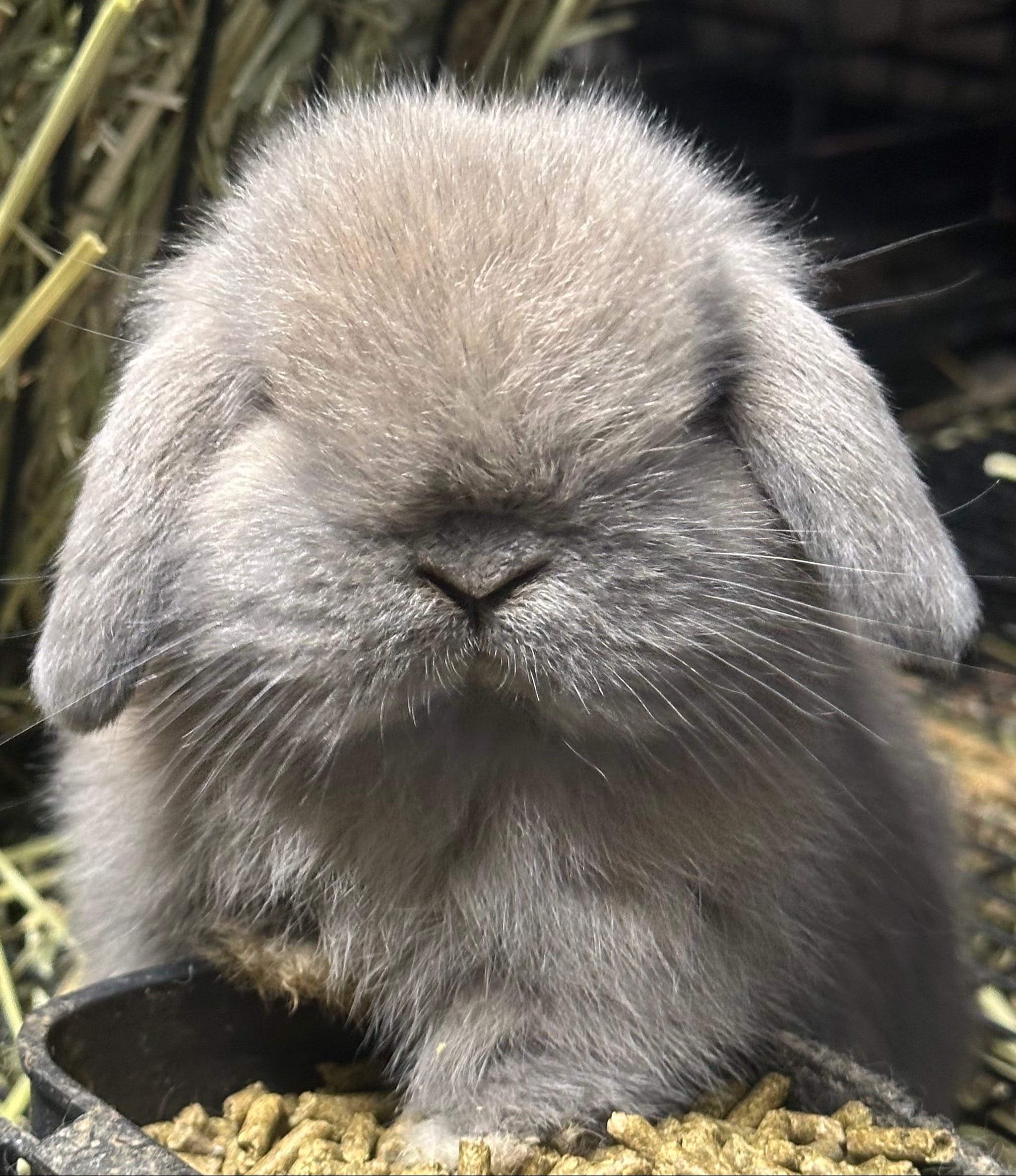 Post 1 by Brook on TikTok (video)