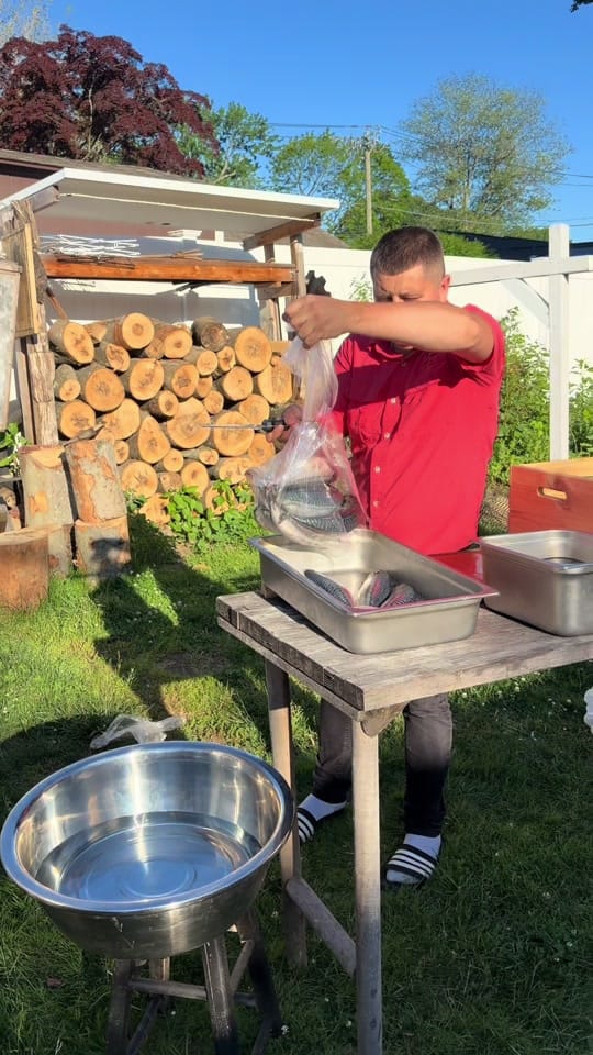 Post 4 by VASYL MENIUK on TikTok (video)