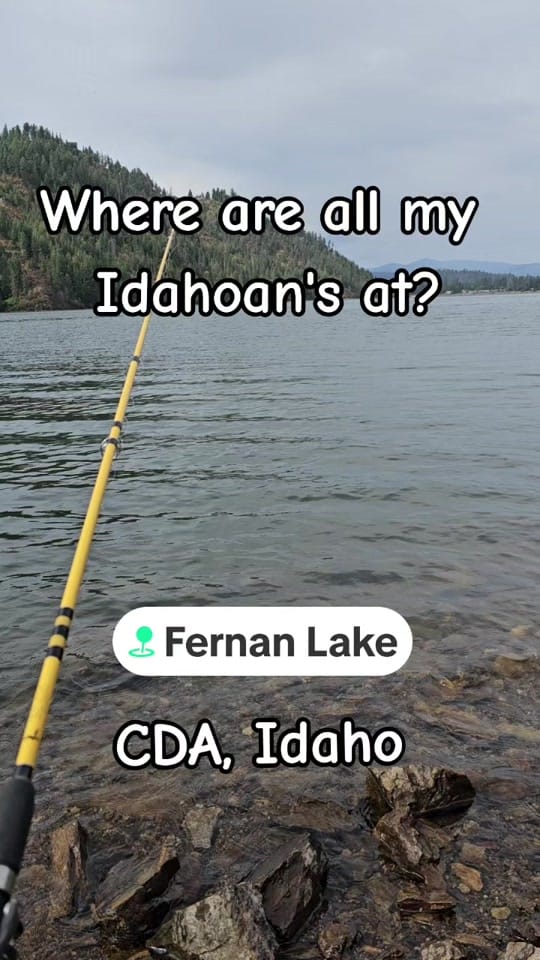 Post 8 by HodgePodgeMama CDA on TikTok (video)