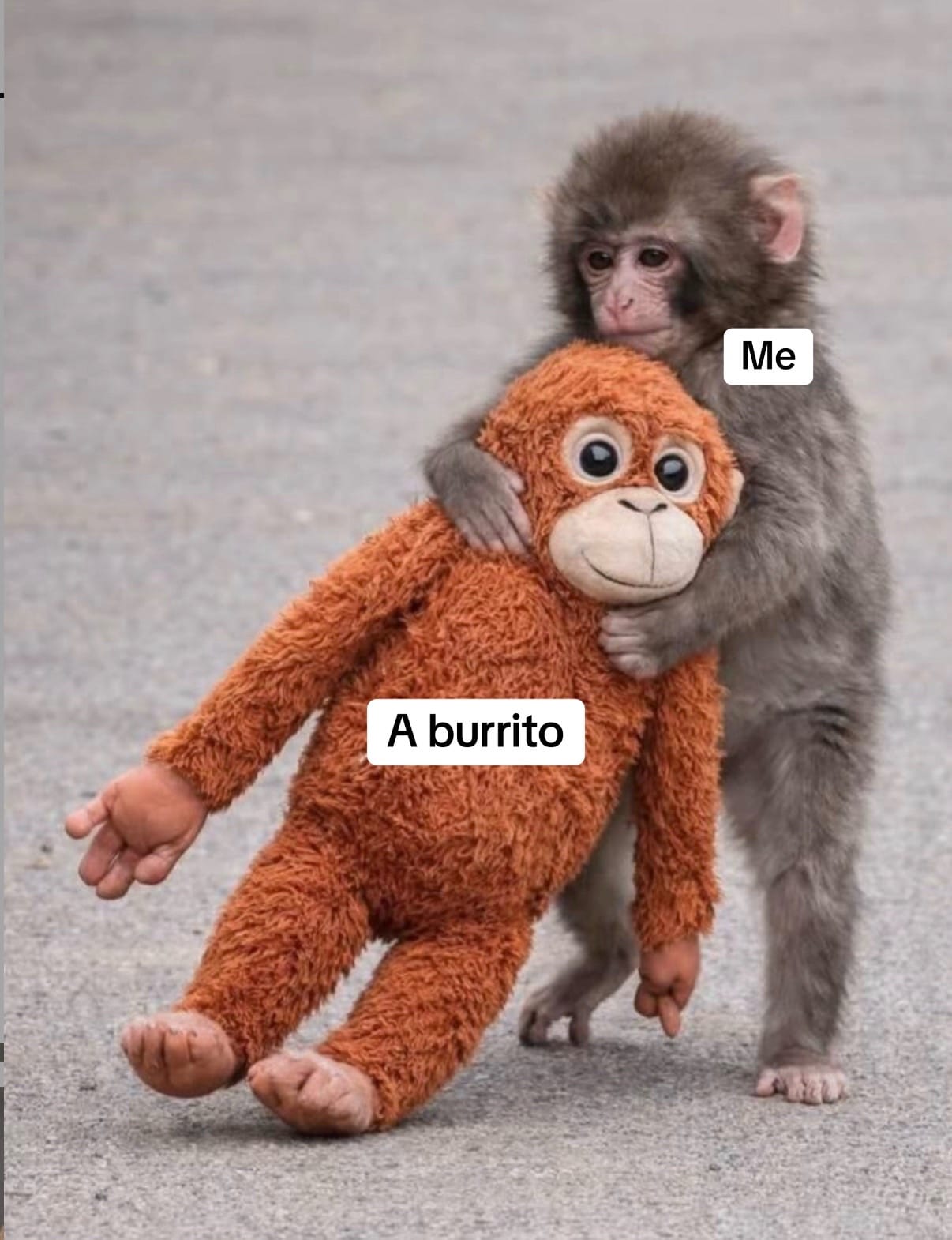 Post 10 by Renegade Burrito on TikTok (video)