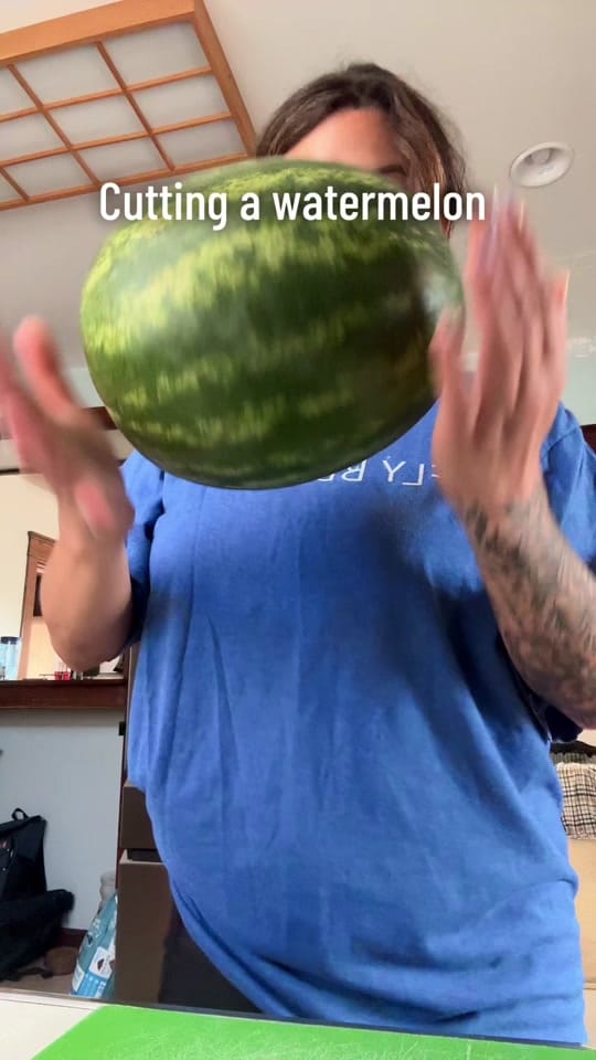 Post 3 by tielle🪴 on TikTok (video)