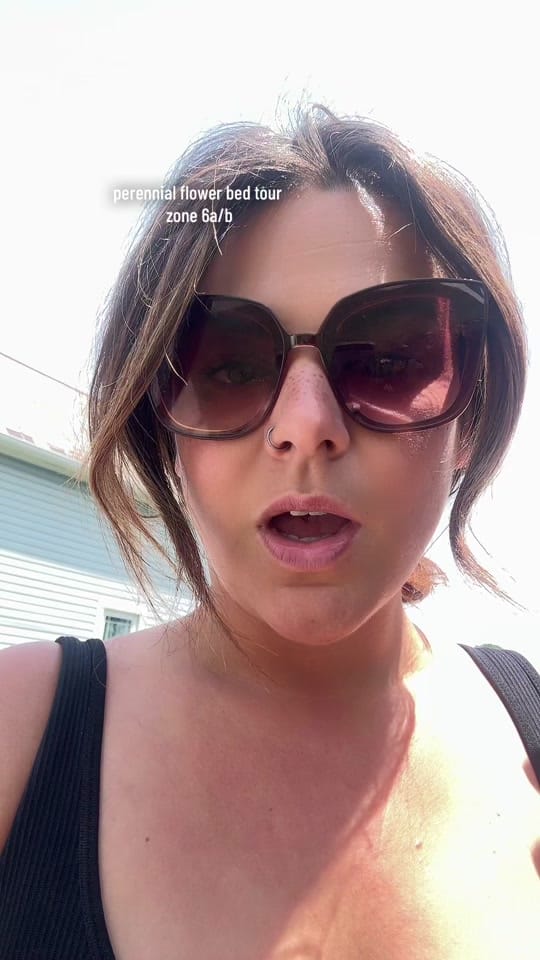 Post 6 by tielle🪴 on TikTok (video)