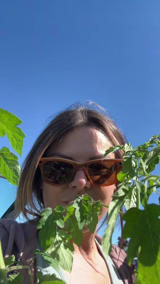 Post 8 by tielle🪴 on TikTok (video)