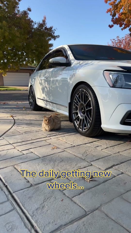 Post 2 by 2001_volvo_v70_t5 on TikTok (video)
