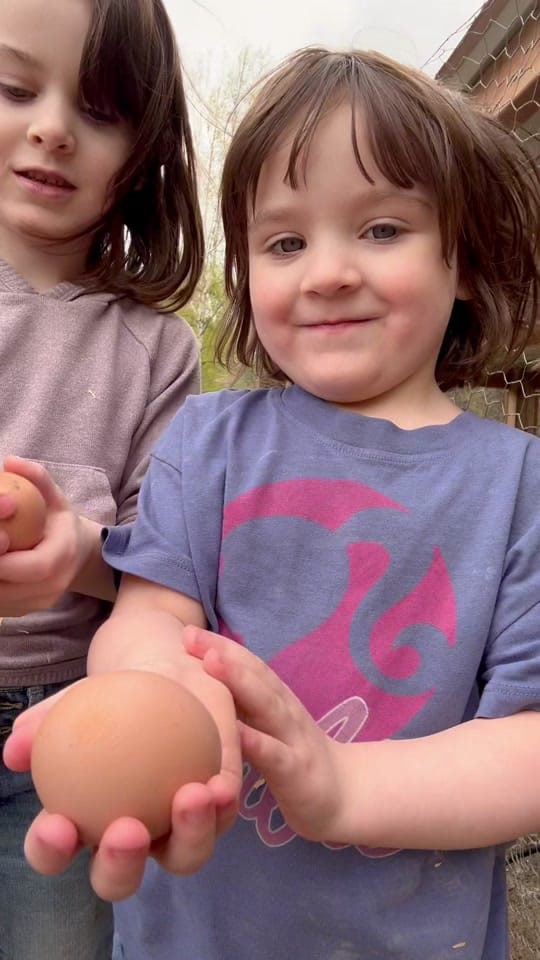 Post 8 by Bailey Stamper | Ak Grocery Co on TikTok (video)
