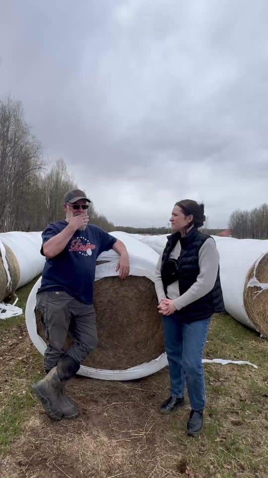 Post 3 by Bailey Stamper | Ak Grocery Co on TikTok (video)