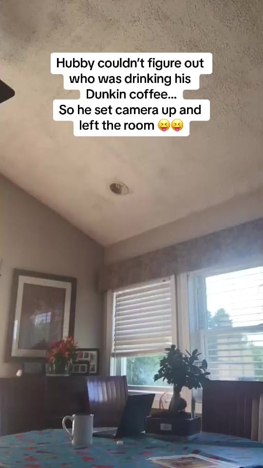Post 10 by 🧿🇺🇸Rosa’s Kitchen🇮🇹🌶️ on TikTok (video)