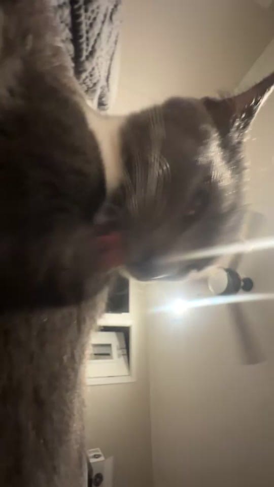 Post 5 by KP on TikTok (video)