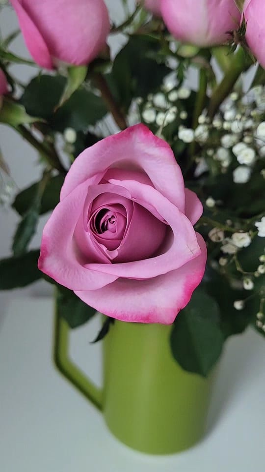 Post 3 by Homemade Jen on TikTok (video)