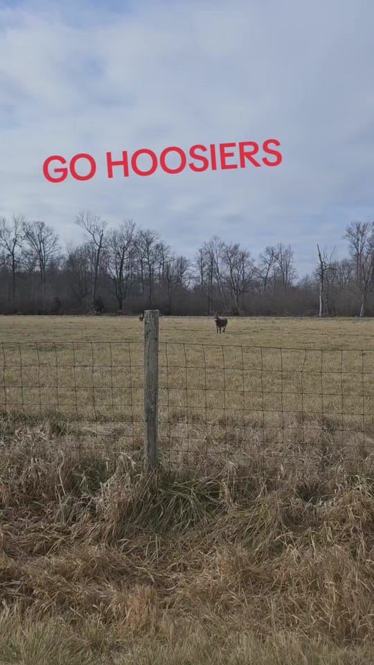 Post 7 by Brad S on TikTok (video)