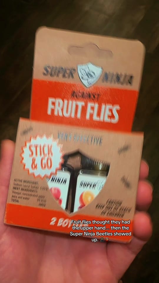 Post 4 by Southern Bites & Finds on TikTok (video)