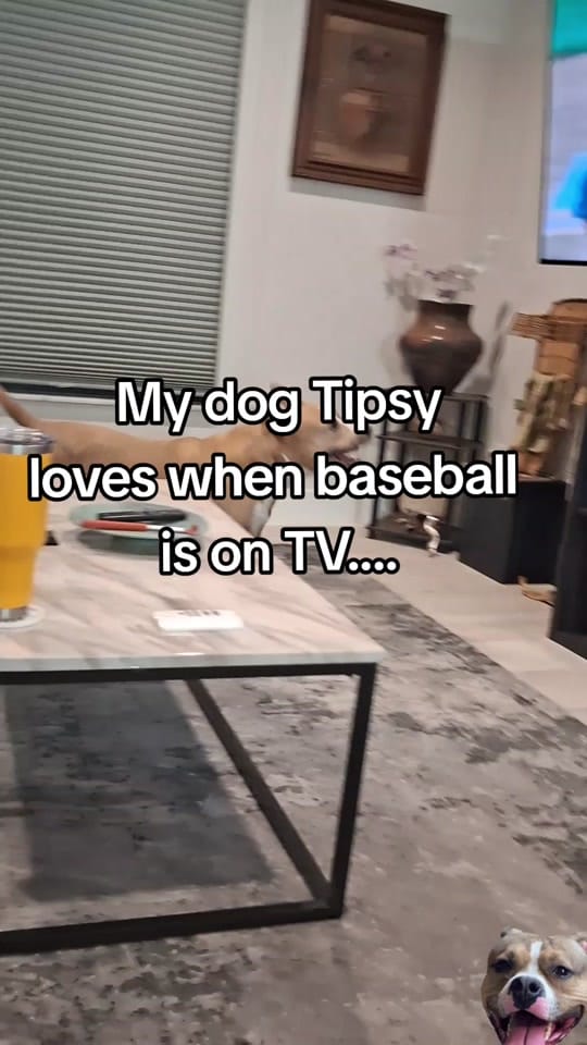 Post 8 by Amy Matlack on TikTok (video)