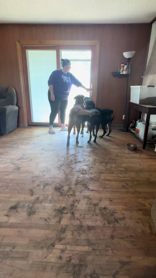 Post 9 by Britt▫️Working Mama 🩷 on TikTok (video)
