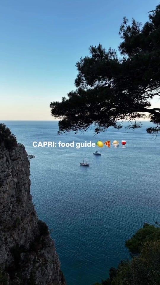 Post 7 by torishutt on TikTok (video)