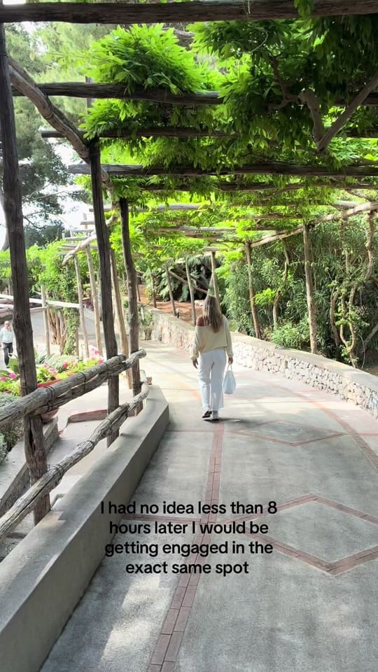 Post 9 by torishutt on TikTok (video)