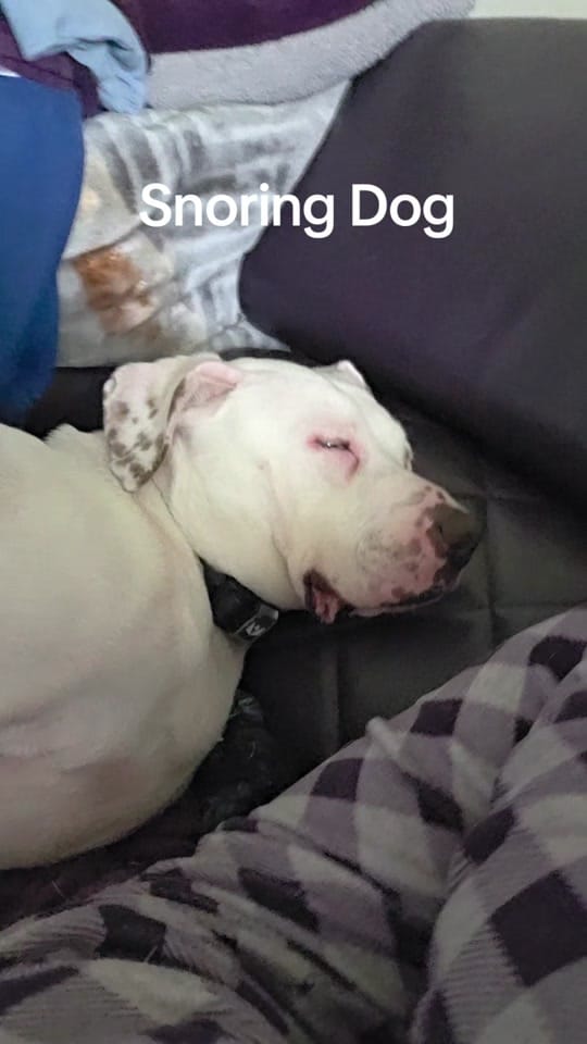 Post 7 by Divatrucker 🚛🙋‍♀️ on TikTok (video)