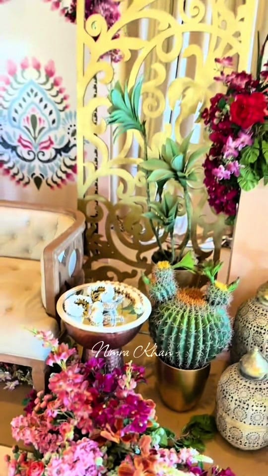 Post 6 by Hum Pakistani 🥭Log 🇺🇸 🇵🇰 on TikTok (video)