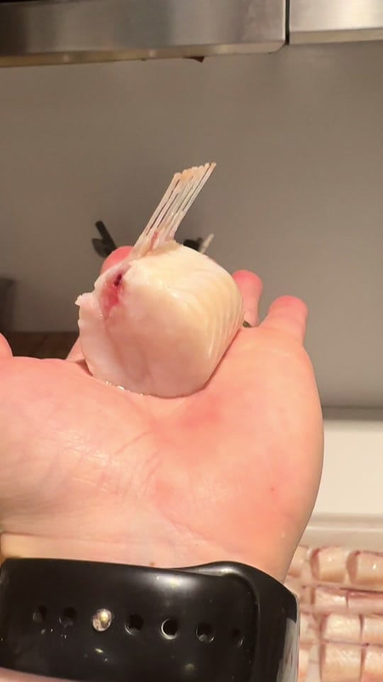 Post 3 by Jenner Tomaska on TikTok (video)