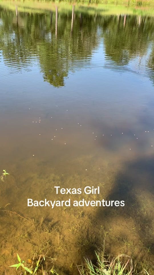 Post 6 by Mary❌ on TikTok (video)