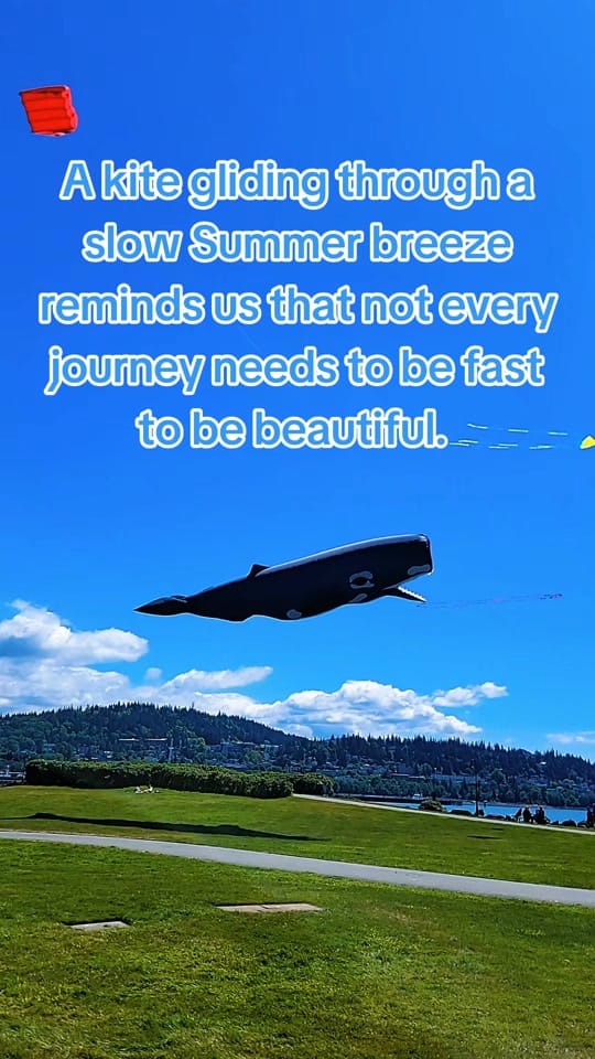 Post 4 by Chris Zimmerman on TikTok (video)