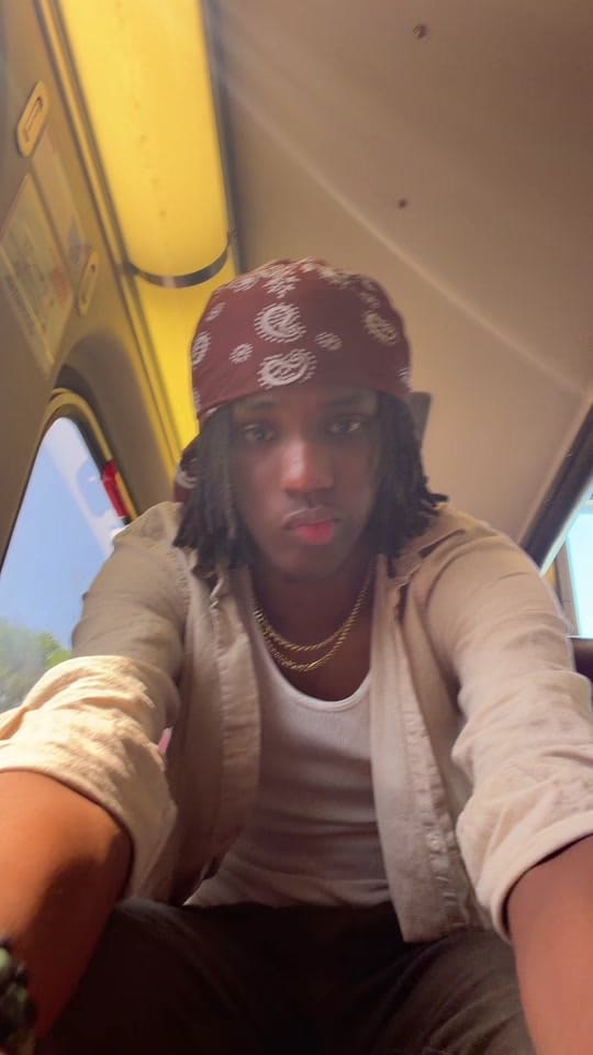 Post 1 by Zerxtonin on TikTok (video)