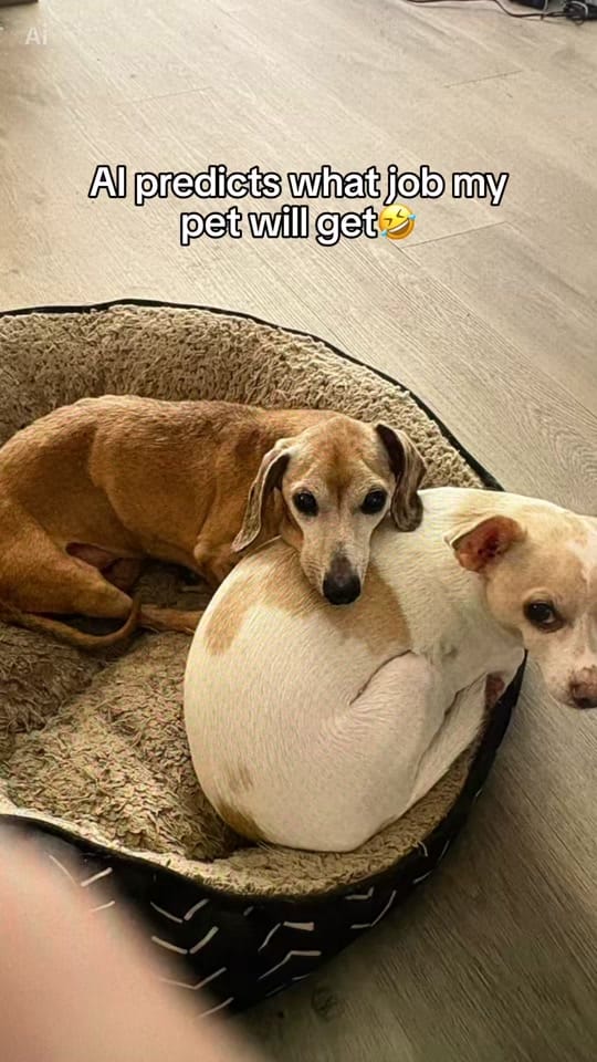 Post 3 by 🌼🌺 ~ Lilly ~ 🌺🌼 on TikTok (video)
