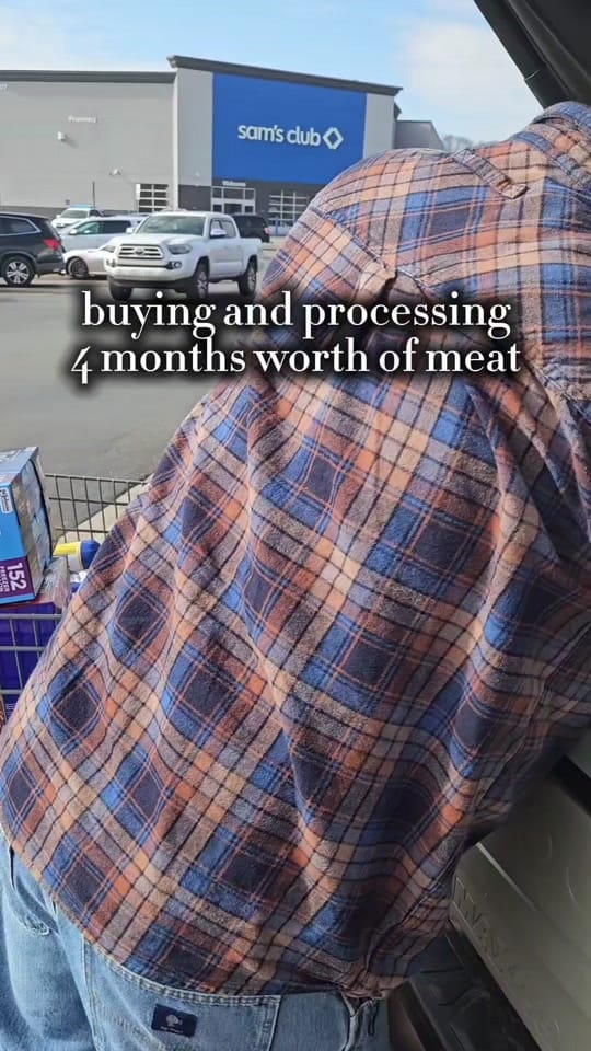 Post 8 by jacqueline | making homestead on TikTok (video)