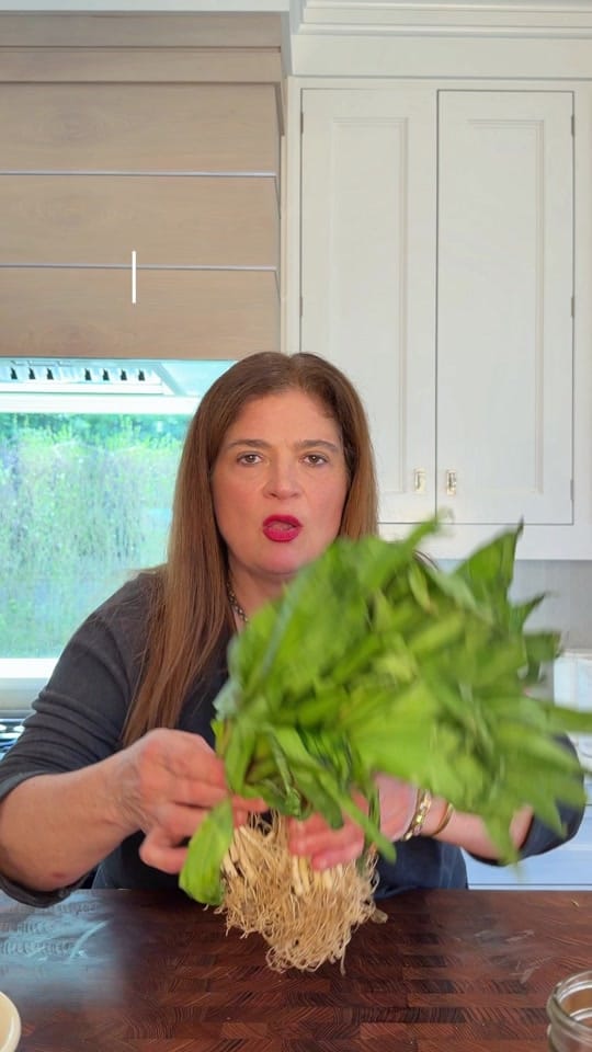 Post 8 by Alex Guarnaschelli on TikTok (video)