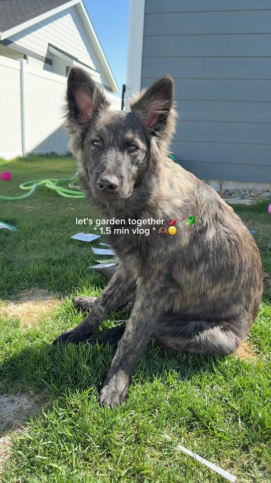 Post 5 by kinzie fransen on TikTok (video)