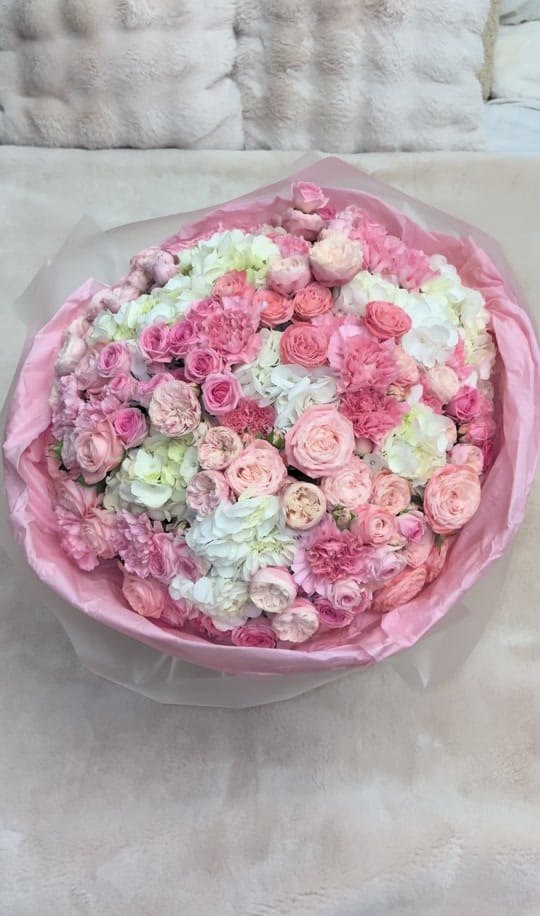 Post 4 by annemonev on TikTok (video)