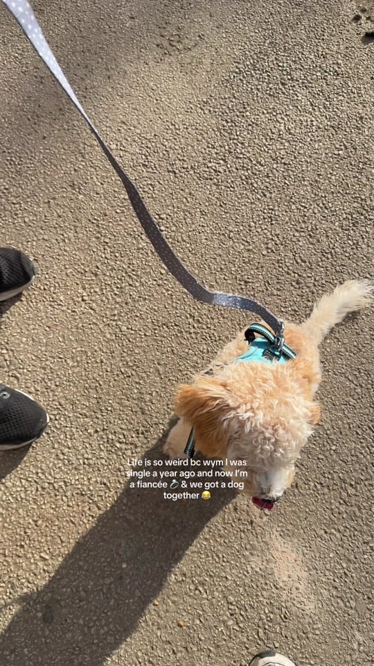 Post 1 by editbychi on TikTok (video)