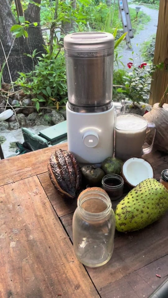 Post 6 by The Fruit Guru 🍌 on TikTok (video)