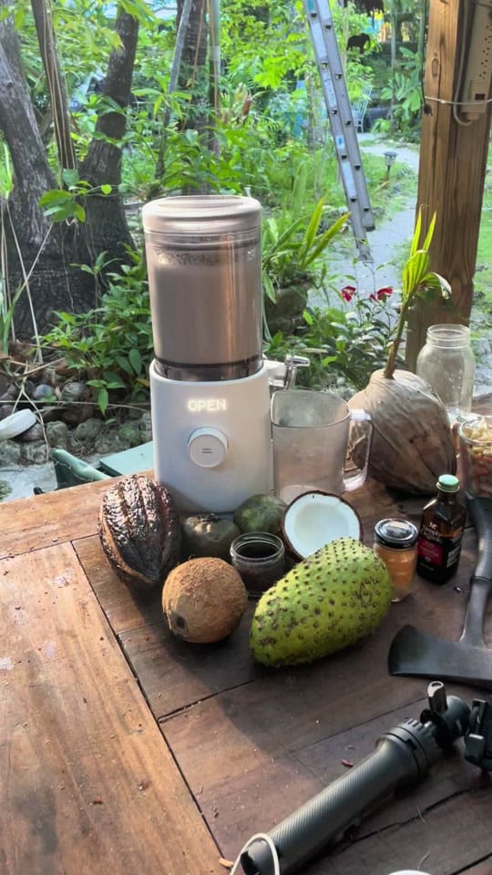 Post 7 by The Fruit Guru 🍌 on TikTok (video)