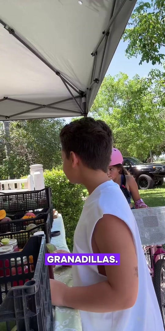 Post 4 by The Fruit Guru 🍌 on TikTok (video)