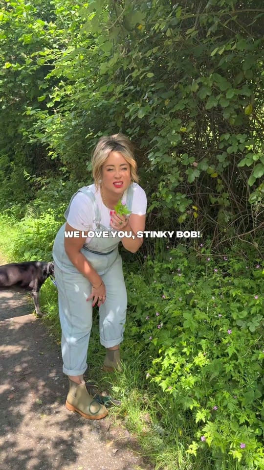 Post 2 by Feebee The Forager on TikTok (video)
