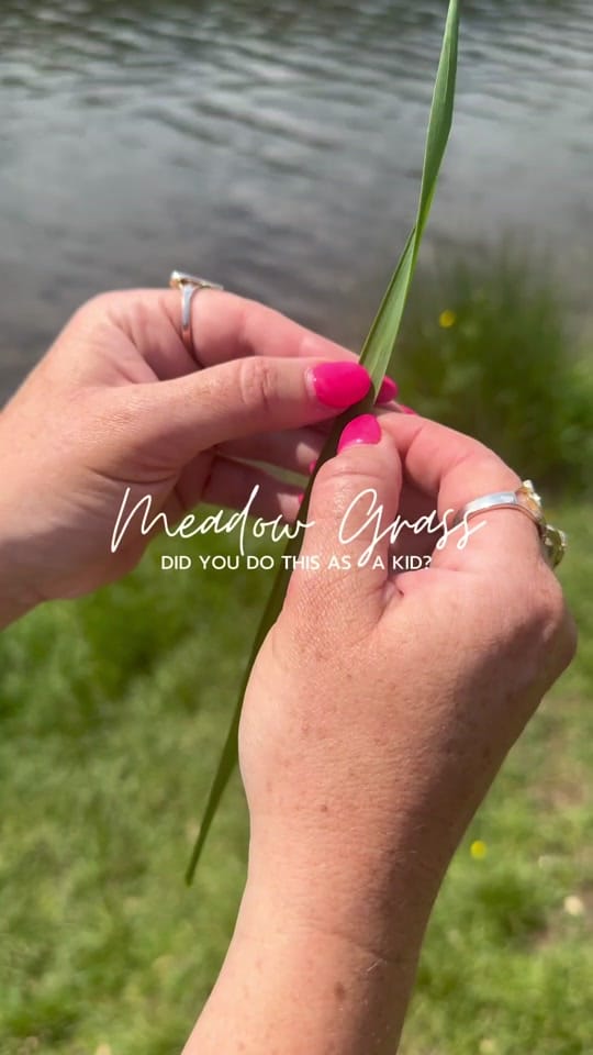 Post 5 by Feebee The Forager on TikTok (video)