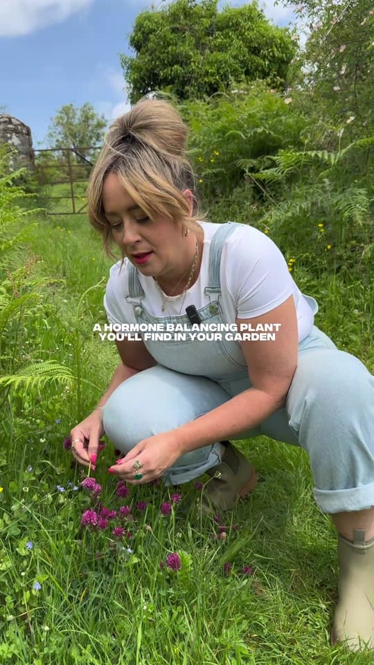 Post 3 by Feebee The Forager on TikTok (video)