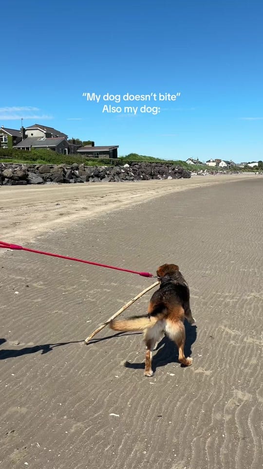 Post 5 by Nails by Paula 💌 on TikTok (video)