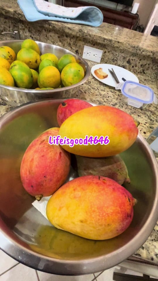 Post 2 by Mike on TikTok (video)