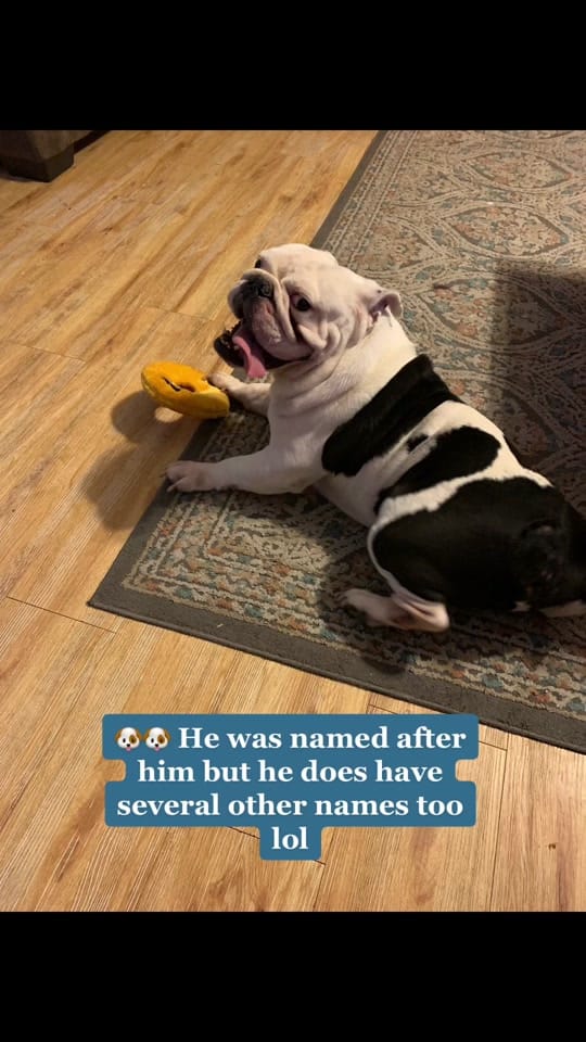 Post 10 by michealthompson82 on TikTok (video)
