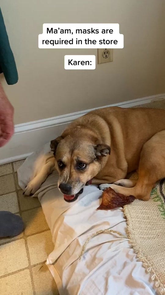 Post 10 by Chelsea Gilson on TikTok (video)