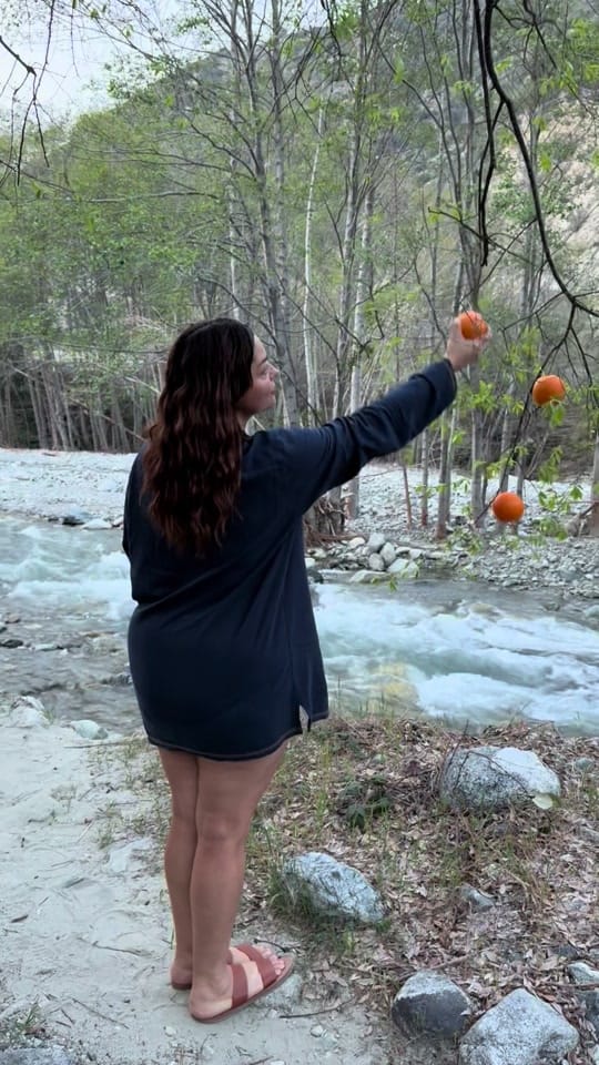 Post 10 by Unique Daily on TikTok (video)