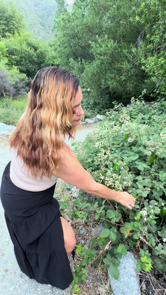 Post 7 by Unique Daily on TikTok (video)