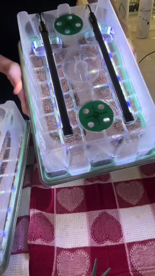 Post 2 by Garden with Ashley on TikTok (video)