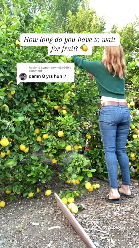 Post 10 by Garden with Ashley on TikTok (video)