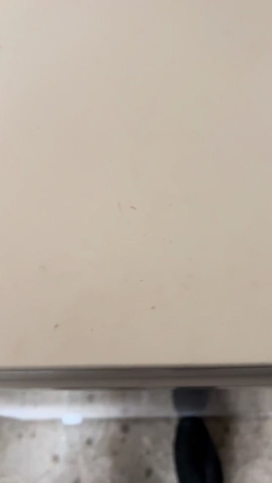 Post 3 by Tricey Cooks NOLA Food on TikTok (video)
