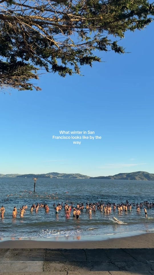 Post 7 by julia on TikTok (video)