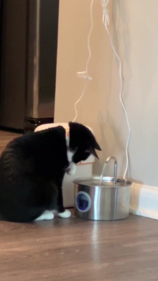 Post 2 by Viv on TikTok (video)