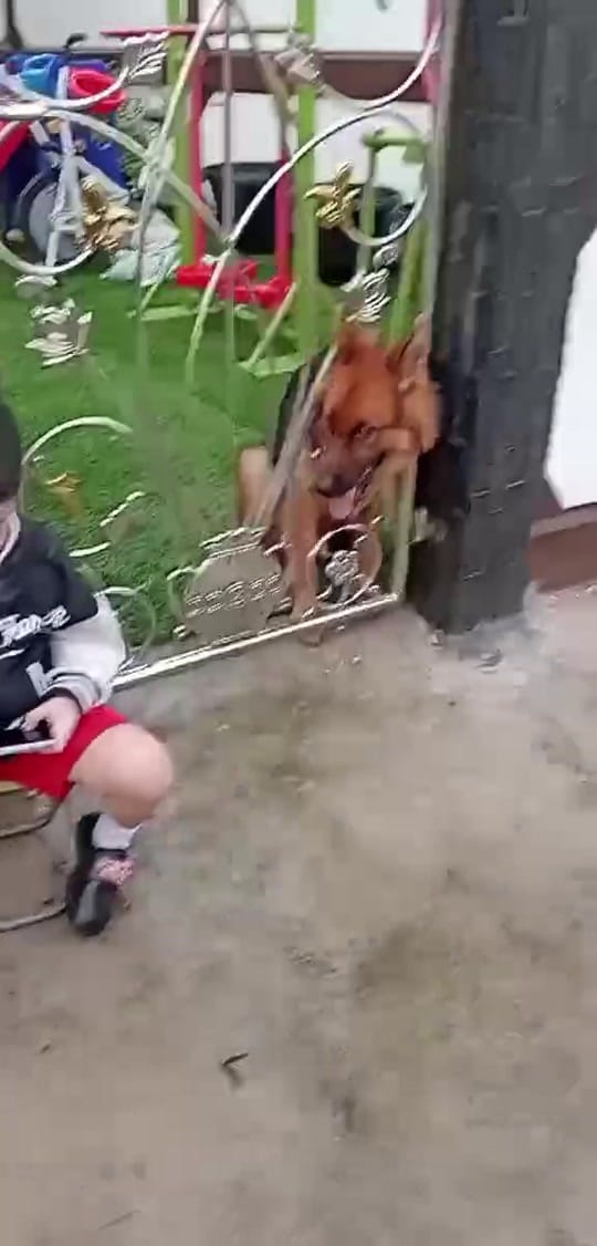 Post 4 by Korn in The USA 🇺🇸 on TikTok (video)